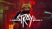 Stray stray cat pc games playstation 4 playstation 5 2022 2560x1440 8497